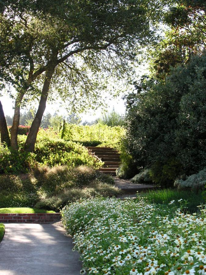 Hotel Madrona Manor Healdsburg Exterior foto